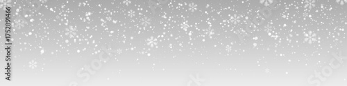 Vector Realistic PNG of falling snowflakes on transparent background. Winter snow overlay with frosty flakes for Christmas scenes or cold atmosphere effects.
