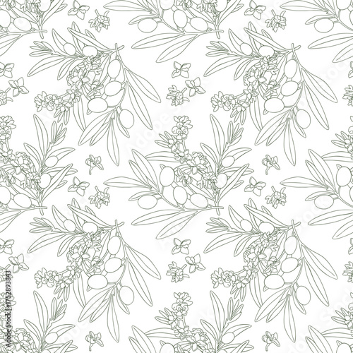Seamless pattern drawing olive oil fruits branch. Hand drawn floral illustration olives fruit tree branches leaves background green. Drawings food. Edible foliage vector. Fabric wrapping decor menu