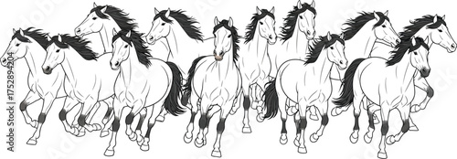 A powerful herd of horses gallops forward with untamed energy