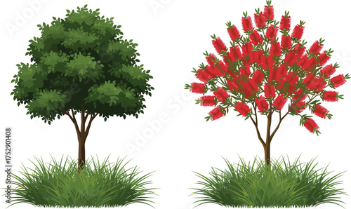 tree, flower, foliage, nature, plant, garden, red, green, leaf, trunk, stem, bloom, flora, botanical, illustration, 