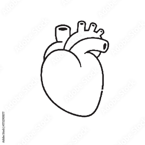 Contrast of two anatomical hearts highlights dual symbolic medical meanings.