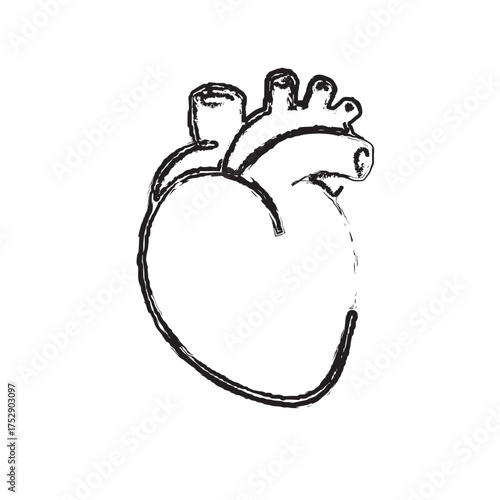 Contrast of two anatomical hearts highlights dual symbolic medical meanings.