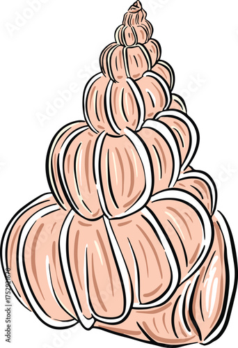 Hand drawn clipart illustration of seashell shell mollusc seaside shellfish 