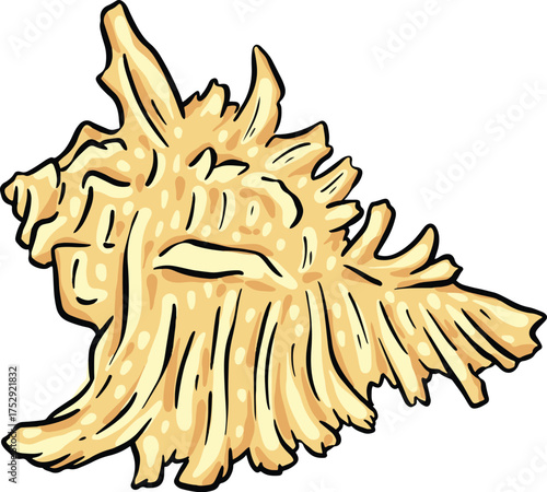 Hand drawn clipart illustration of seashell shell mollusc seaside shellfish 