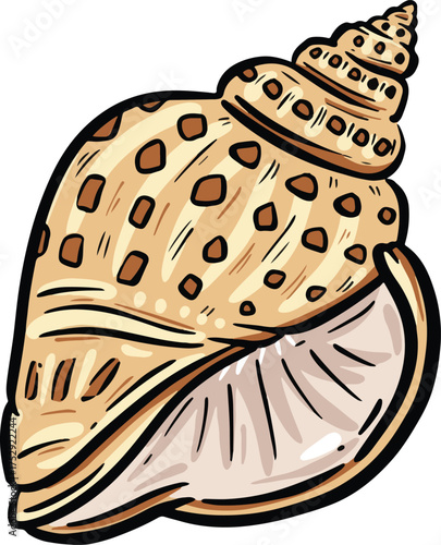 Hand drawn clipart illustration of seashell shell mollusc seaside shellfish 