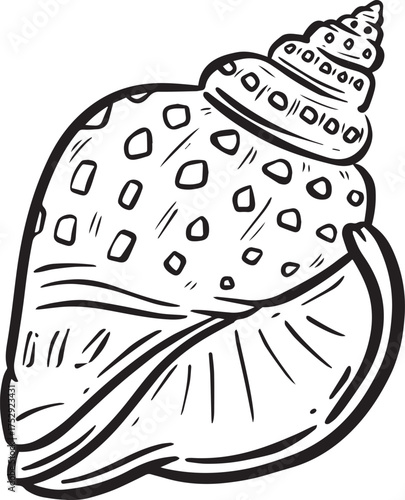 Hand drawn clipart illustration of seashell shell mollusc seaside shellfish 