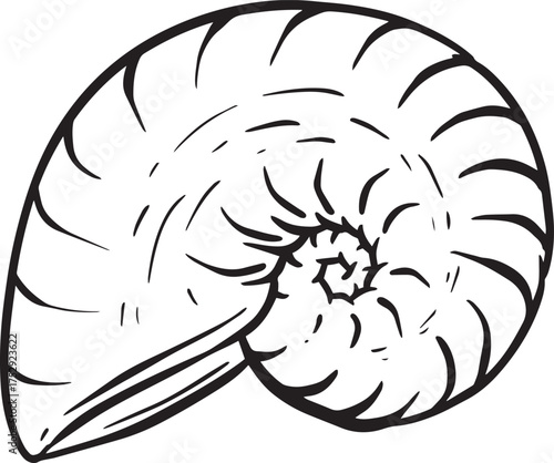Hand drawn clipart illustration of seashell shell mollusc seaside shellfish 