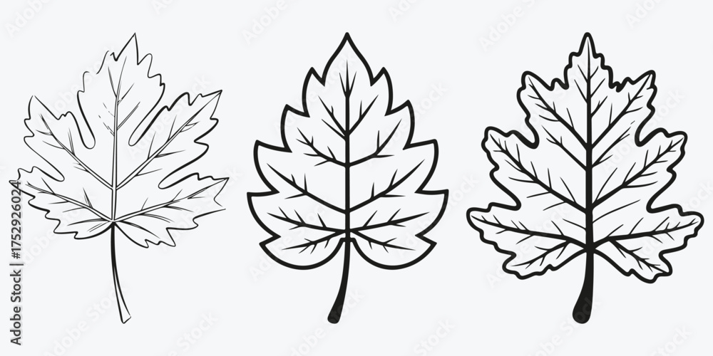 Fototapeta premium autumn leaf sketch illustration vector set
