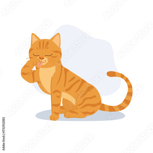 a cute orange tabby cat sits calmly licking its paw. an adorable orange kitten grooming itself