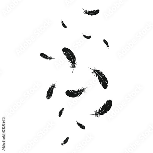 Black feathers falling gracefully against a white background