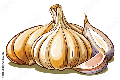 Detailed close up shows whole garlic bulbs and a clove in artistic form