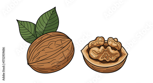 An illustration of a whole walnut and a halved walnut with leaves.