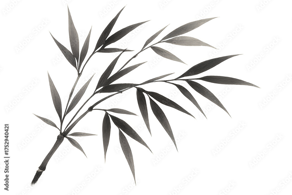Naklejka premium Bamboo branch with delicate leaves in grayscale, presenting a serene botanical element. Transparent background