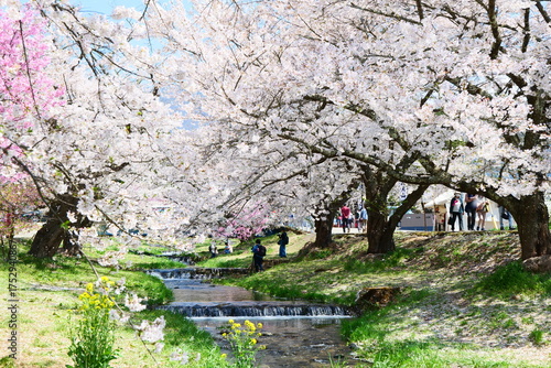 500_F_1752940867_BDsXkyhStmxrg