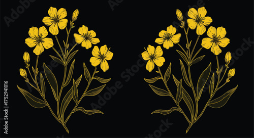 Elegant floral arrangement of vibrant yellow evening primrose blossoms on black