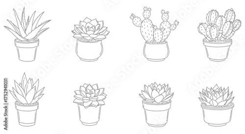 Collection of potted cacti and succulents in a simple line art style