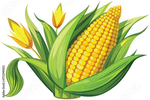 Fresh yellow corn cob enveloped by vibrant green husk and flower blossoms
