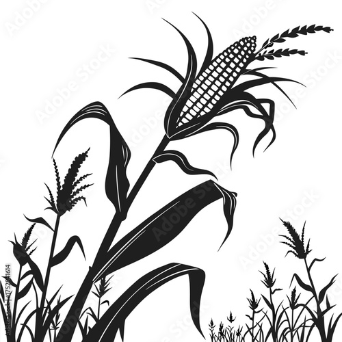 Black silhouette showcases a corn stalk with ripe ear and leafy foliage isolated against white