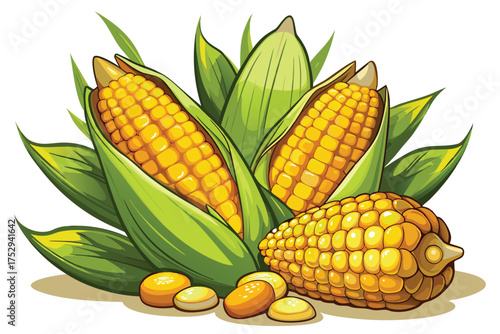 Three fresh corn cobs with green leaves and corn kernels are displayed