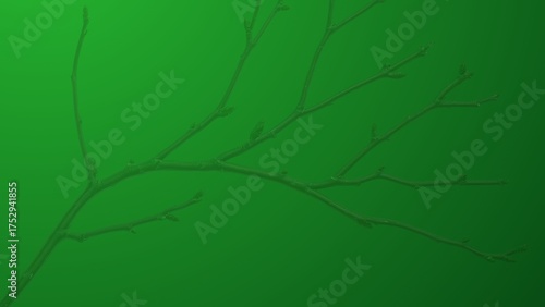 Serene bamboo silhouettes on a lush green background