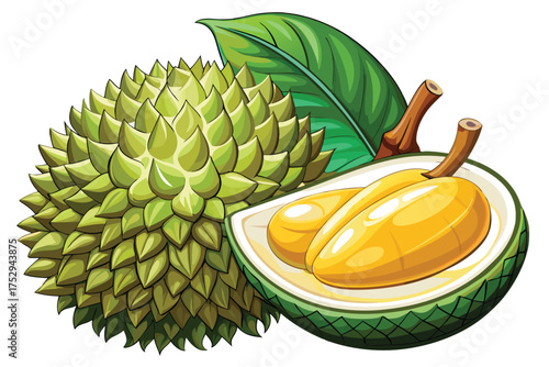 Delicious durian fruit with spiky shell and vibrant leaf is cut to reveal yellow pulp