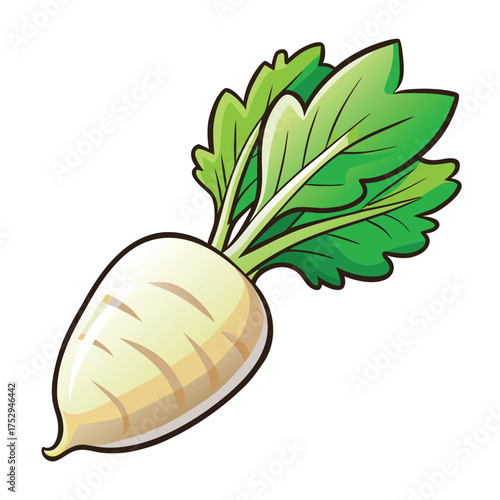 Cartoon turnip displays fresh green leaves, offering simplicity with healthy eating benefits and nutrients