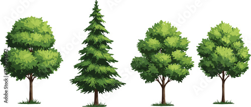 Trees, coniferous pine, deciduous foliage, green leaves, nature illustration, outdoor greenery, decorative plants, landscape design, forest elements, natural environment, educational art