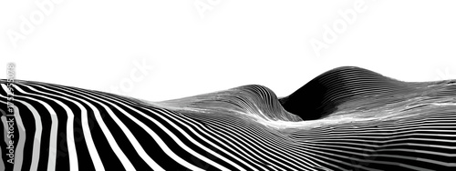 Abstract black and white wavy landscape