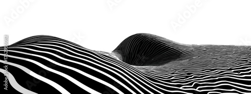 Abstract black and white wavy landscape