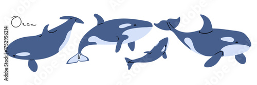 Whale set. Orca Whale Icon Set. Flat Vector Illustrations Isolated on White Background. Killer Whales with inscription. Wild animals of Arctic Circle. Arctic white north animal. Mammal North animal.