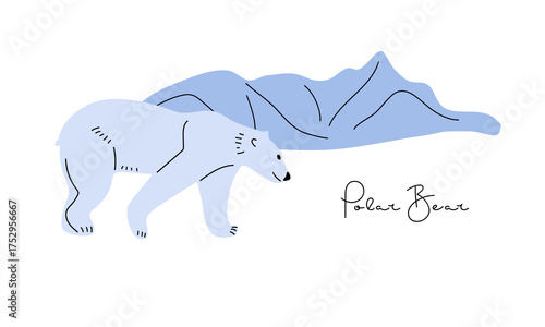 Polar Bear walking and looking down and searches for something. Bear on ice floe. Predator, Wildlife conservation. Flat Vector illustrations. Wild animal of Arctic Circle. Arctic north animal