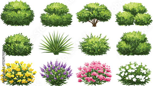 Bushes, shrubs, green foliage, ornamental plants, landscaping design, garden decoration, flowering bushes, colorful blossoms, nature background, outdoor greenery, decorative plants