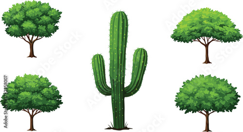 Cactus and deciduous tree illustration set, desert and forest collection, diverse foliage clipart, eco concept, outdoor vegetation, seasonal artwork, landscape design