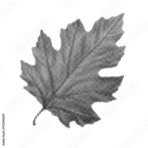 Black and White Sycamore or Plane Tree Leaf Halftone Vector