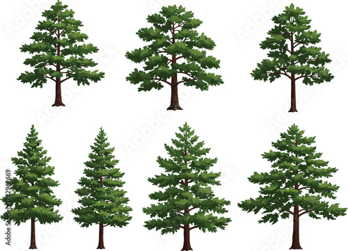 Coniferous tree illustration set, evergreen foliage artwork, pine forest vector, landscape design element, eco-friendly clipart, botanical drawing, nature graphic, garden decoration