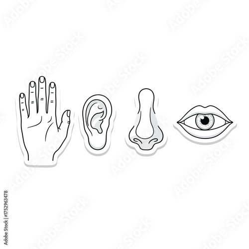Line art illustration of human senses organs hand ear nose eye