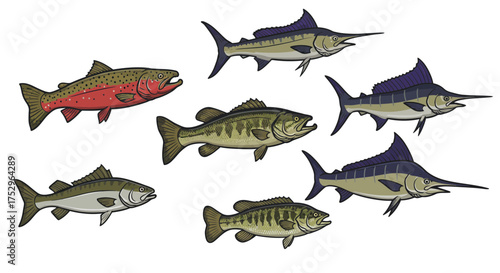 Diverse assortment of freshwater and saltwater fish species for various purposes