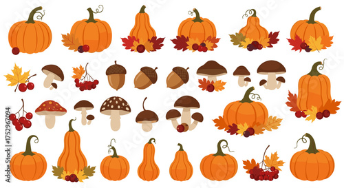 Autumn harvest pumpkins squash mushrooms and berries collection.