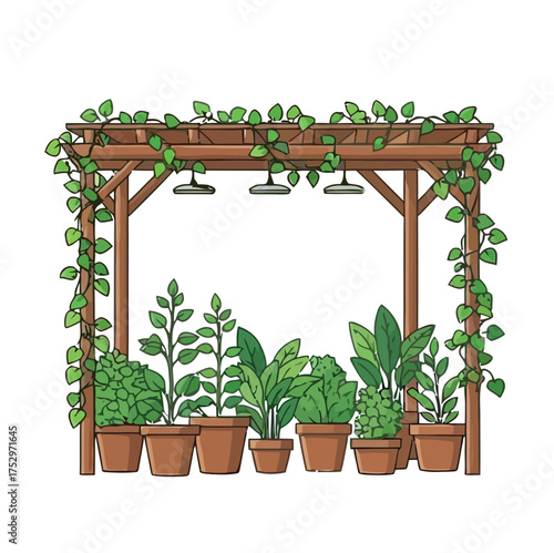 Plants in pots under a wooden pergola with climbing vines