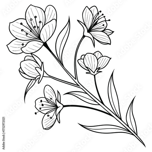 Minimalist Red Blooming Flower Art