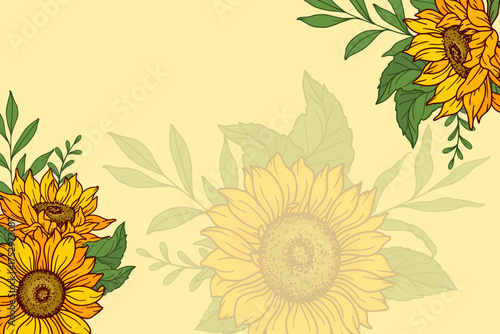 Sunflower frame vector illustration. Sunflowers isolated. Botanical floral illustration. Sunflower background with greenery