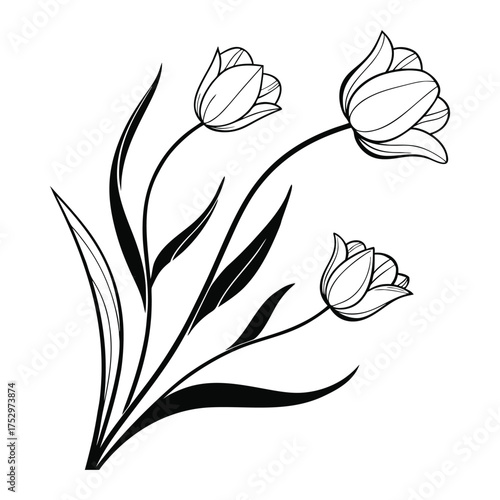 Tulip Line Art Minimalist Style