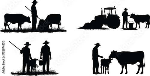 Silhouette of farmers working with cows and calves, rural agriculture life, livestock farming, tractor and farmer feeding cattle illustration