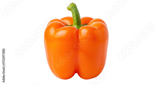 Isolated orange bell pepper on seamless setting, fresh vegetable, cooking ingredient, health food