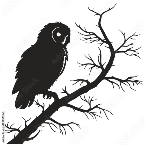 Black and white bird of prey, a falcon, sits on a branch looking at the wild nature