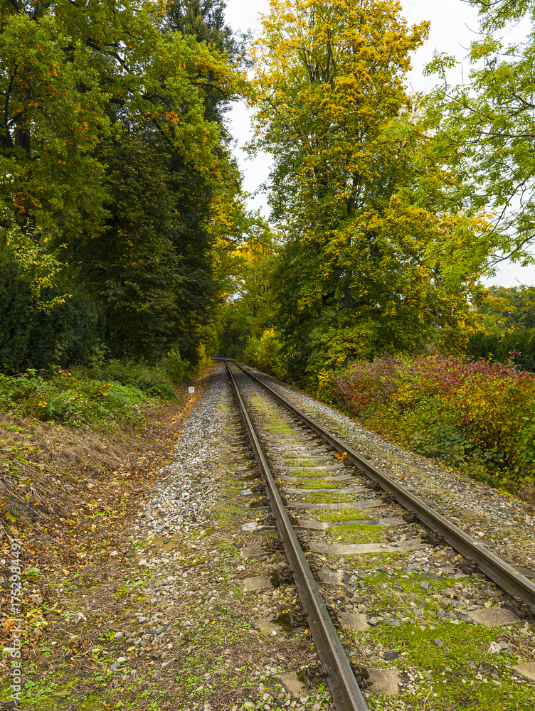 Fototapeta premium railway in autumn