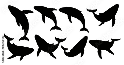 Whale silhouettes set isolated on white background vector illustration