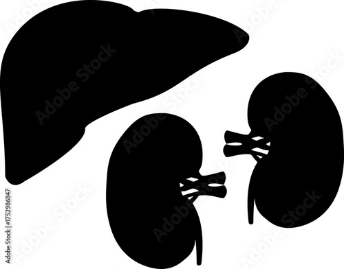 silhouette of a kidneys