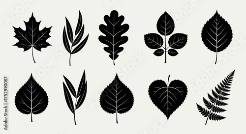A collection of various stylized black leaf silhouettes arranged on a light background.