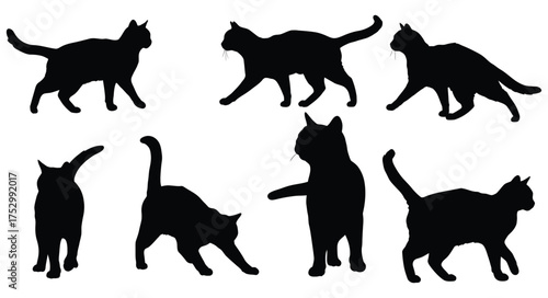 Black silhouettes of cats in various poses and positions illustrated